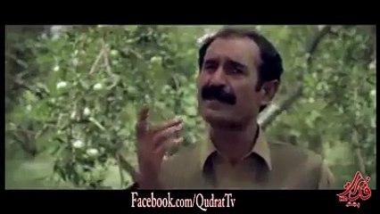 له رضا شيدا سره متفق يم او که تاسو هم ورسره متفق ياست نو له خپلو ملګرو سره ي