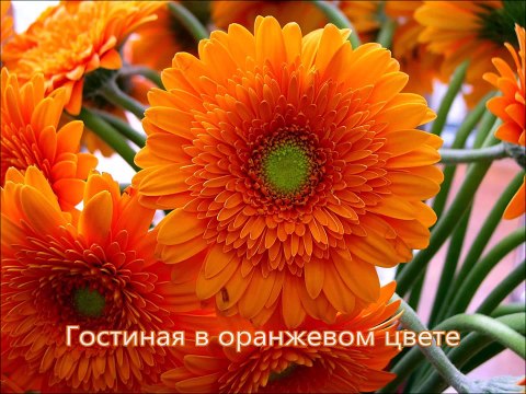 Гостиная в оранжевом цвете