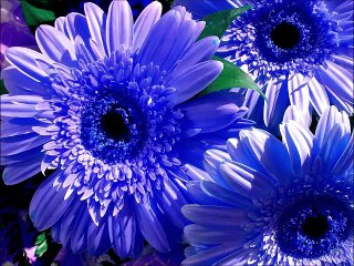 Гостиная в синем цвете