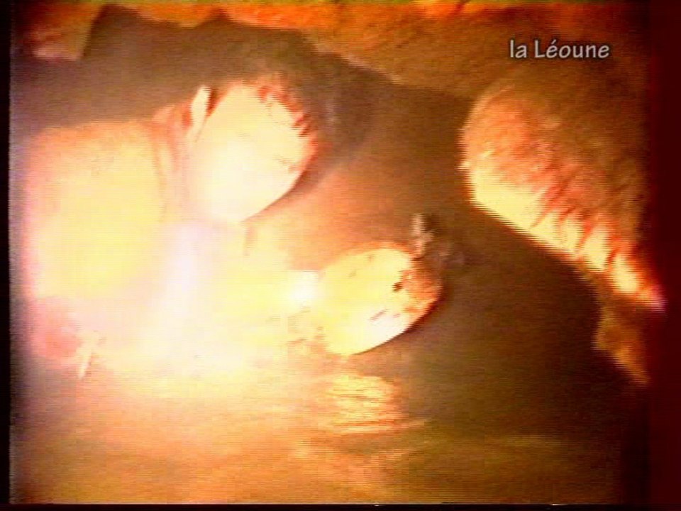 Spéléologie Lot - La Léoune -  affluent des cascades -  Promilhanes
