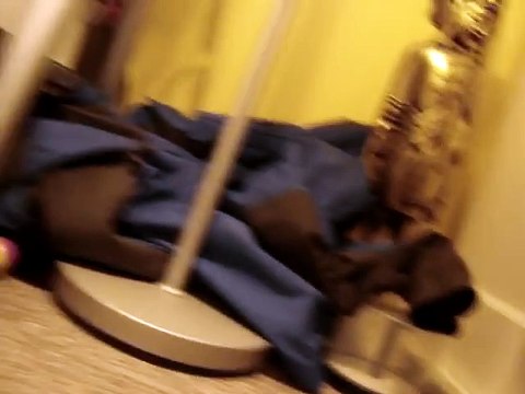 So cute little Kitten speaks while eating.. Yum Yum Yum