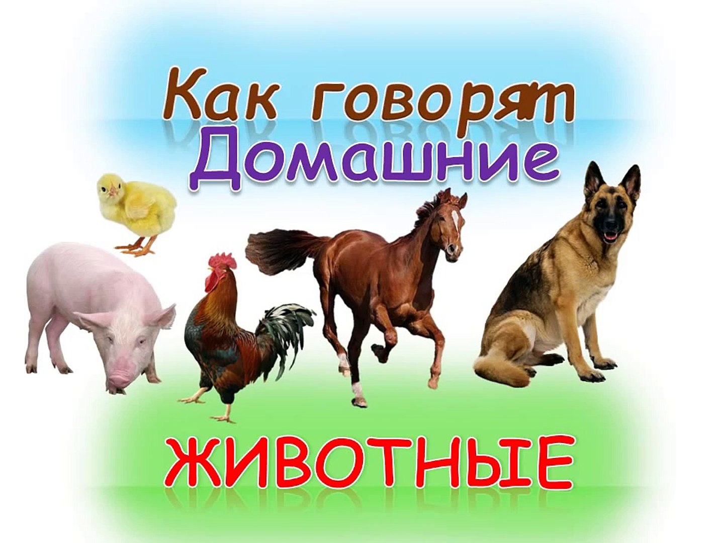 ⁣Развивающий мультик для детей Как говорят домашние животные(кто как делает)Как говорят животные