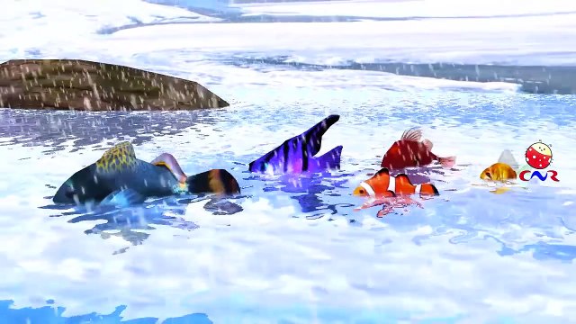 Shark Cartoons Johny Johny Yes Papa Rhymes | Fish Finger Family Nursery Rhymes for Childre