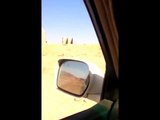 هل شاهدت هذا الفيديو من قبل؟ شاهد سعودي يعيش حياة الوحوش