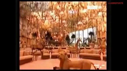 Billionaire Prince Al Waleed bin Talal PALACE - INSIDE LOOK