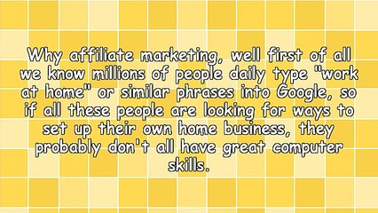 Why Is Affiliate Marketing So Suitable for Newbie's Online