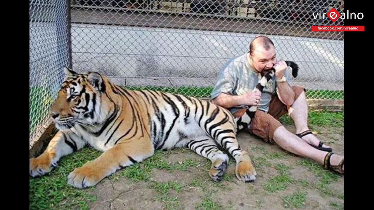 30 Crazy Images