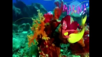 Zig et Sharko Dessin Animé complet en Francais - 1h Compilation - partie 2