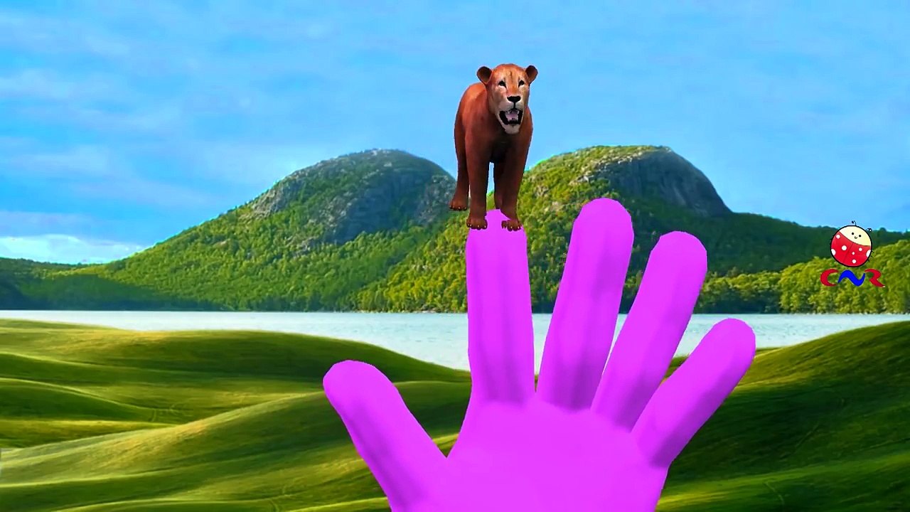 Frozen Elsa Vs Spiderman Cartoons Singing Finger Family Children Nursery Rhymes | Epic Rap