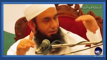 Mere Nabi ka ajeeb o ghareeb intiqam by Maulana Tariq Jameel