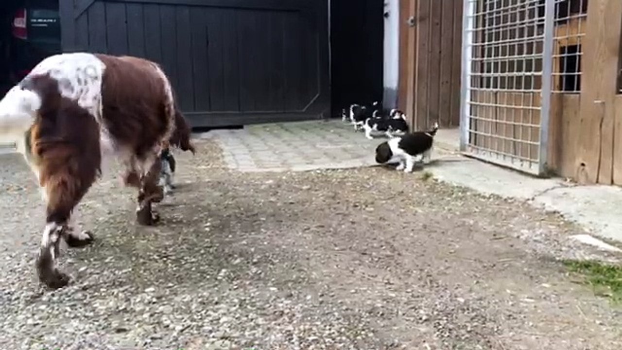 KlM Welpen auf Entdeckungsreise  20.02.2016