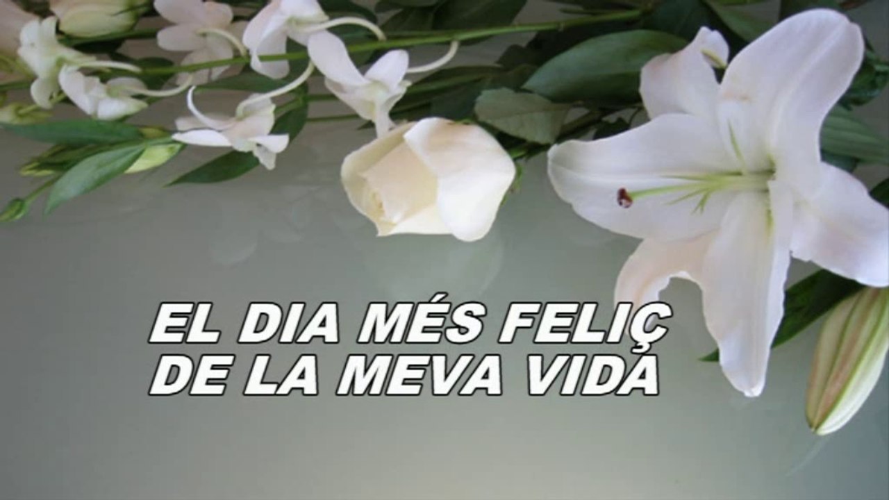 EL DIA MES FELIÇ DE LA MEVA VIDA