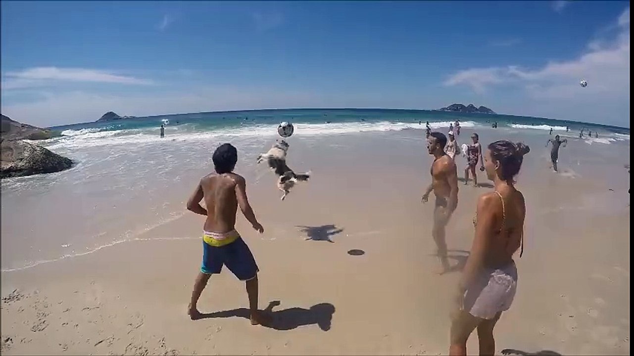 Scotch, the dog, shows his soccer skills!