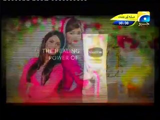 Sila Aur Jannat - Episode 44 Full - 20 Feb 2016