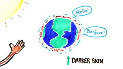 Humans In 1000 Years