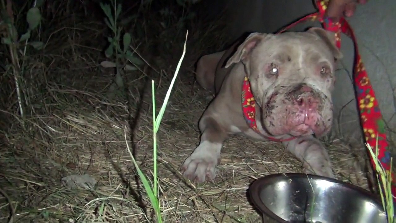 Ils éclairent ce coin sombre avec une lampe de poche et ils découvrent ça!