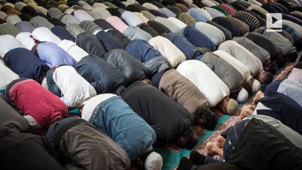 What the Pope’s fight with Donald Trump accidentally teaches us about Islam