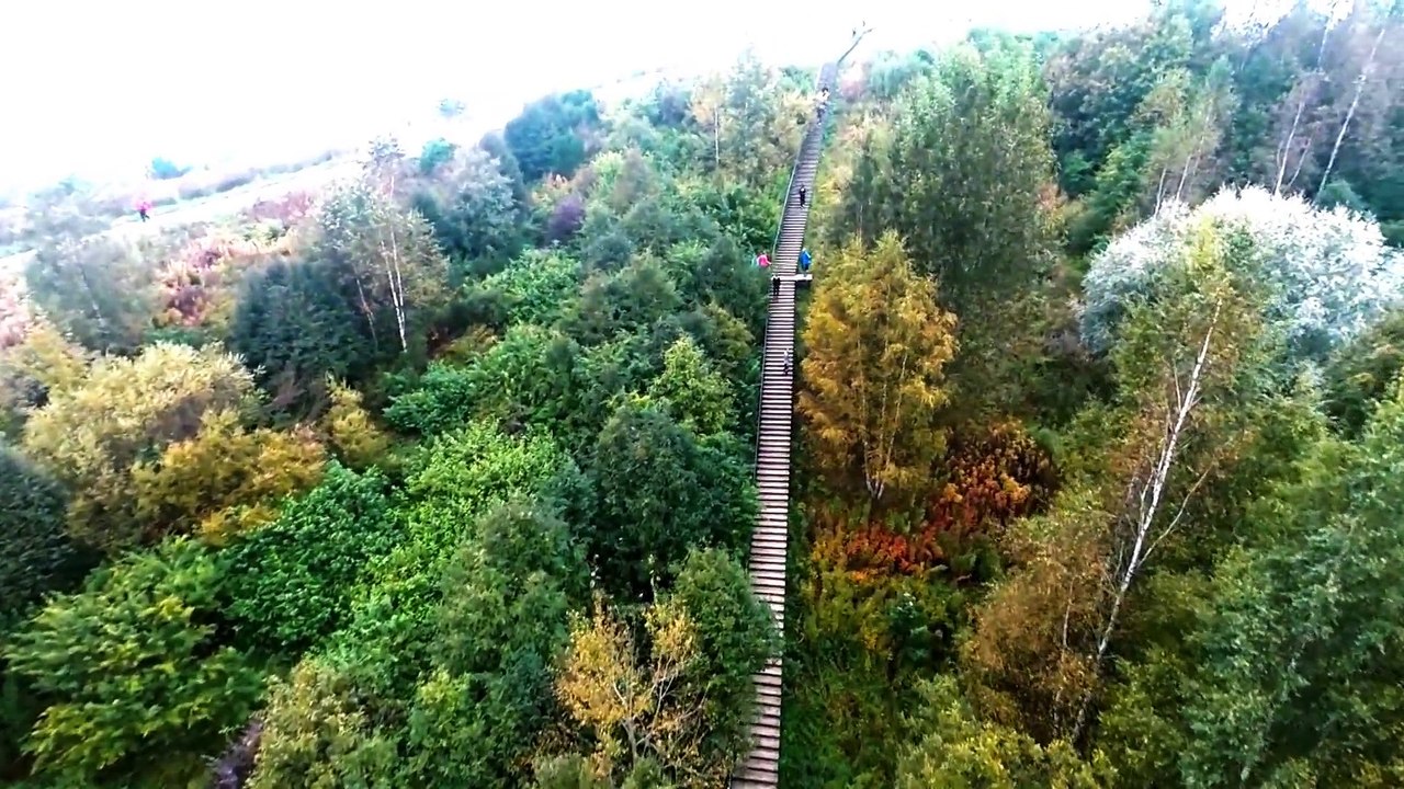Marten Bostrom monte 426 marches d'escalier en 64 secondes