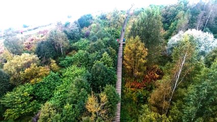 Marten Bostrom monte 426 marches d'escalier en 64 secondes