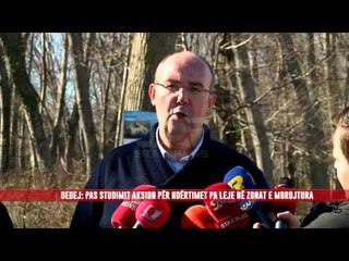 DEDEJ: STUDIM PËR NDËRTIMET PA LEJE NË ZONAT E MBROJTURA
