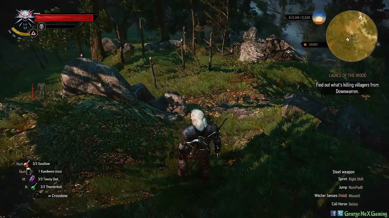 The Witcher 3: Wild Hunt | EP14 | Ladies of the Wood: Part II | PC Ultra 1080p