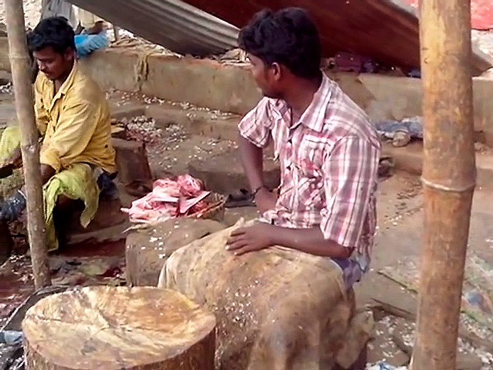 Chennai fish cutting in kasi medu