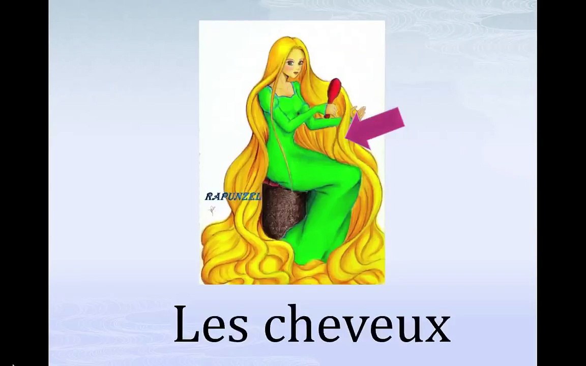 Les parties du corps