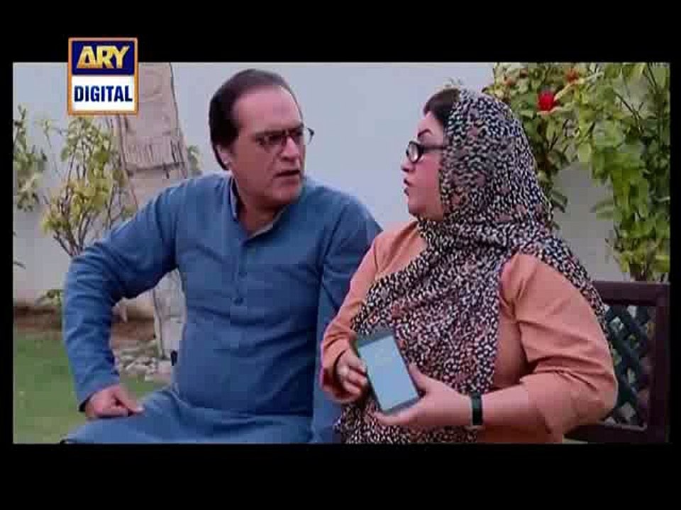 Bulbulay Episode 387 on Ary Digital