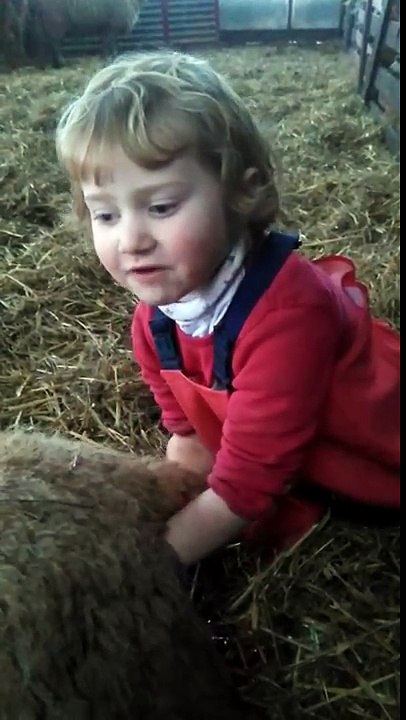Lambing time