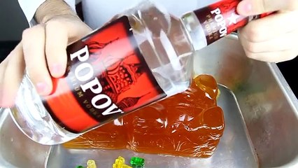 World Largest Gummy Bear Shots!