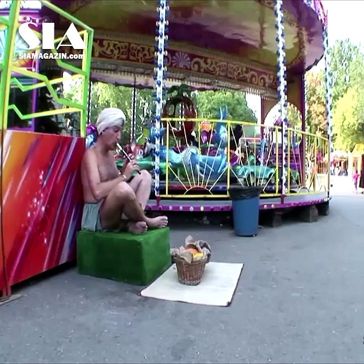 Funny Video - Snake Charmer