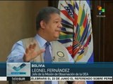 Bolivia: OEA espera participación masiva y pacífica en referendo