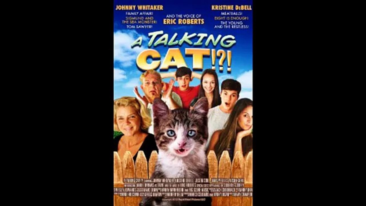 A Talking Cat Review