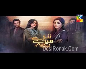 Tere Mere Beech Episode 13 on Hum tv 21st February 2016 P2