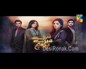 Tere Mere Beech Episode 13 on Hum tv 21st February 2016 P3