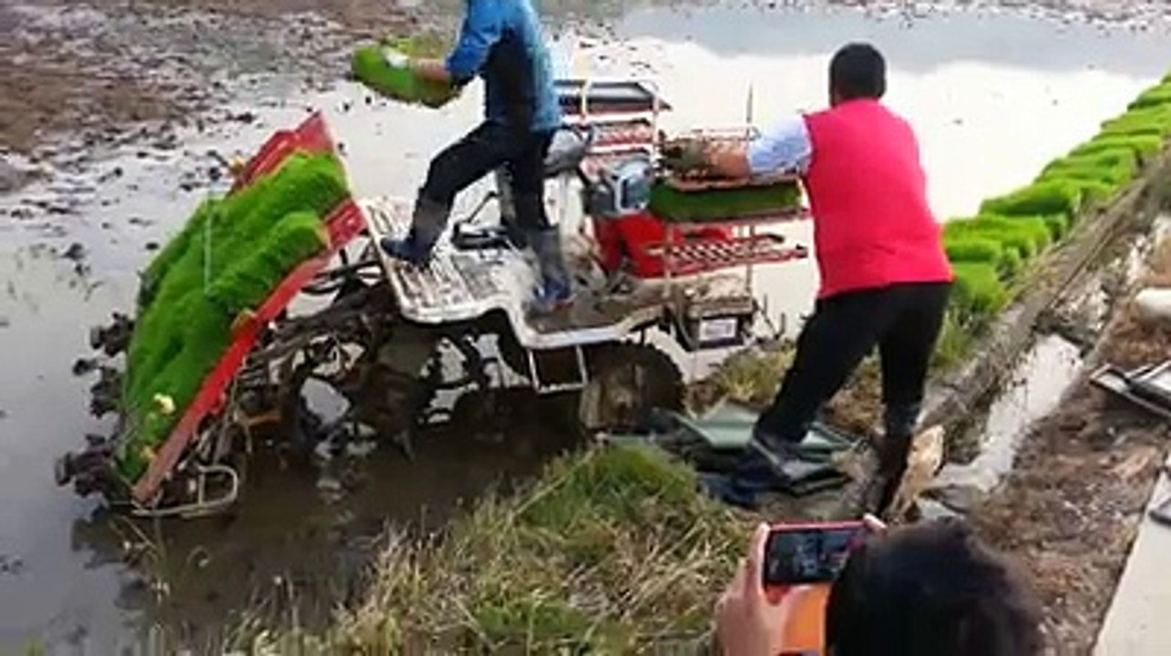 funny video (66)