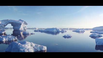 Le spot WTF de Fishermans Friend - Le flyboardfishing
