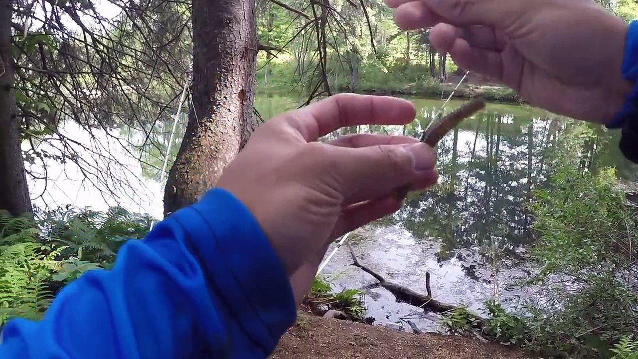 Drop Shot Bass Fishing