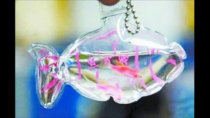 Жестокая мода в Китае, продают живые брелоки