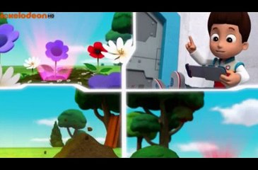 Щенячий патруль - Щенки няньки