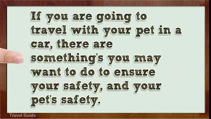 Safe Traveling With an SUV Pet Barrier