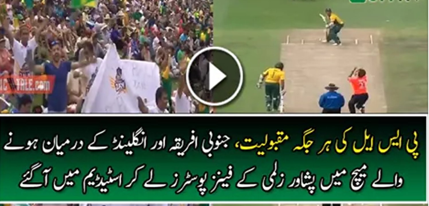 Peshawar Zalmi Supporters in England vs South Africa Match - Popularity of the PSLt20 in the World
