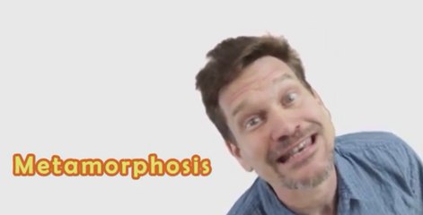 Metamorphosis Explained