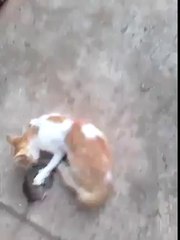 hahahaha khabi ap ka sath assa hova ha????