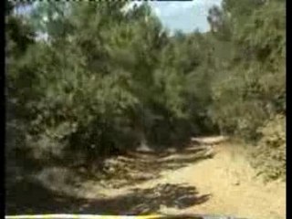 Terre de Provence 07