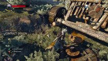 The Witcher 3: Wild Hunt CONTRACT DRAGON guide the sheep to the forktails nest