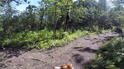 TCN Travel Bruh goes for a hike at Big Hill Springs[16]