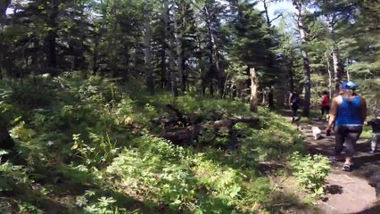TCN Travel Bruh goes for a hike at Big Hill Springs[17]