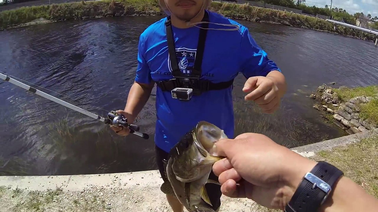 Best fishing and  Top Water Peacock Bass Video Ever