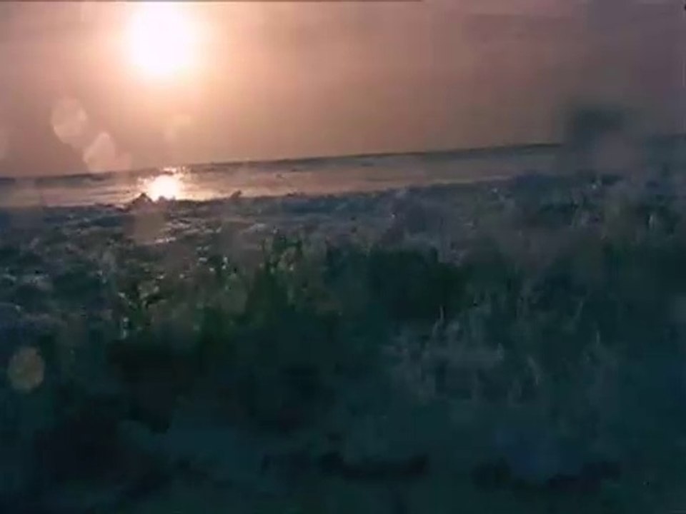 Nuit de la Glisse 2005 #caboverde #sal #santamaria #kitesurf #windsurf #joshangulo #iwannagoback !!